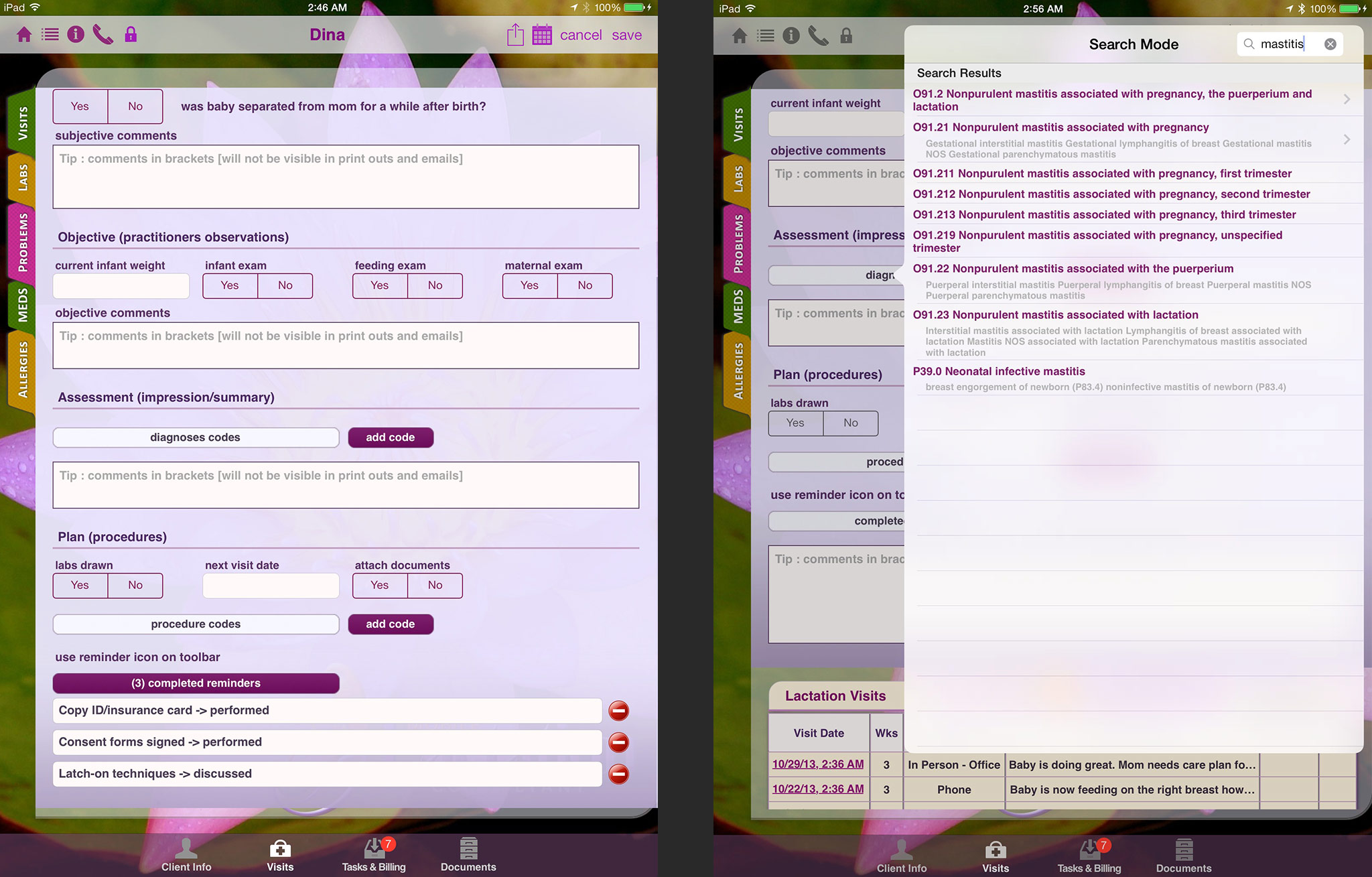 Lactation Consultant Charting Software