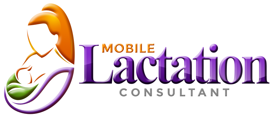 Lactation Consultant Charting Software